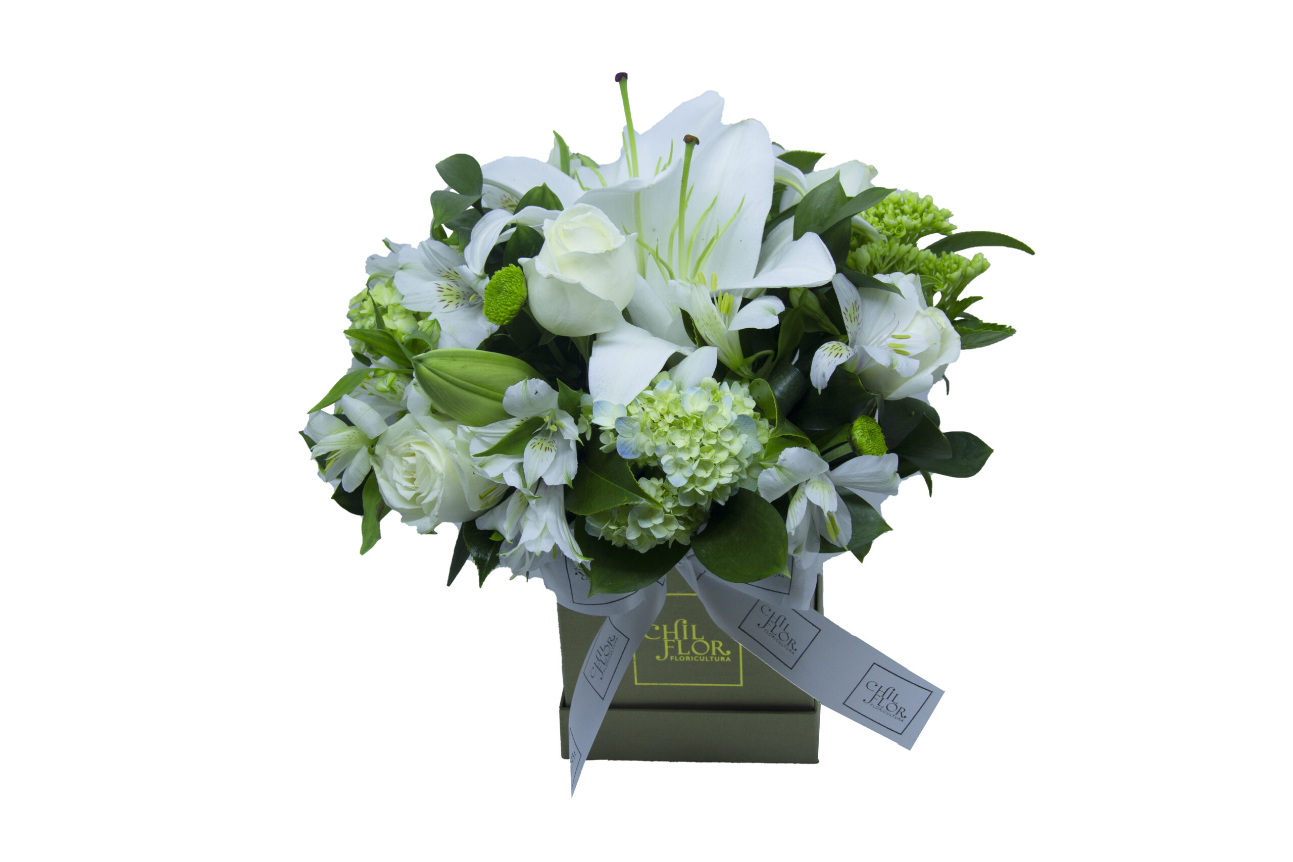 Chil Box Quadrada P Alstroemérias, Hortênsias, Lírio Branco e Rosas Brancas