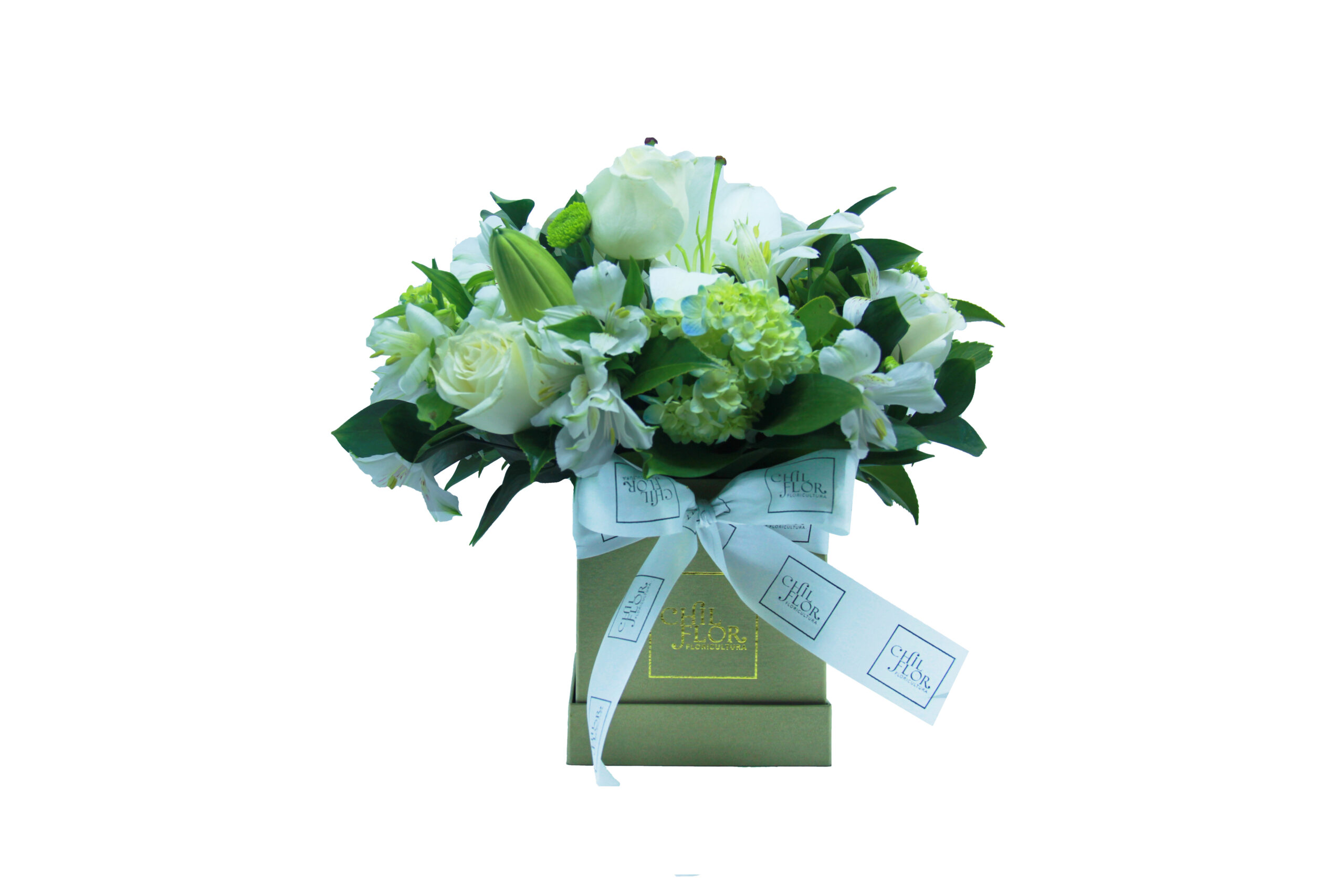 Chil Box Quadrada P Alstroemérias, Hortênsias, Lírio Branco e Rosas Brancas - Imagem 2