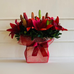 Arranjo Espelho 17X17X5 Lírios Vermelhos Tela