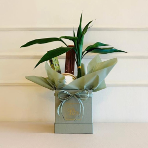 Chil Box Quadrada P Incenso Lucky Bamboo Vela Aromática