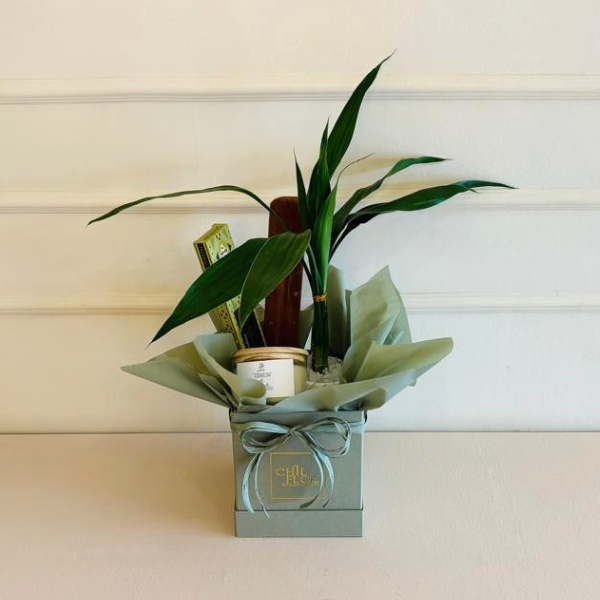 Chil Box Quadrada P Incenso Lucky Bamboo Vela Aromática - Imagem 2