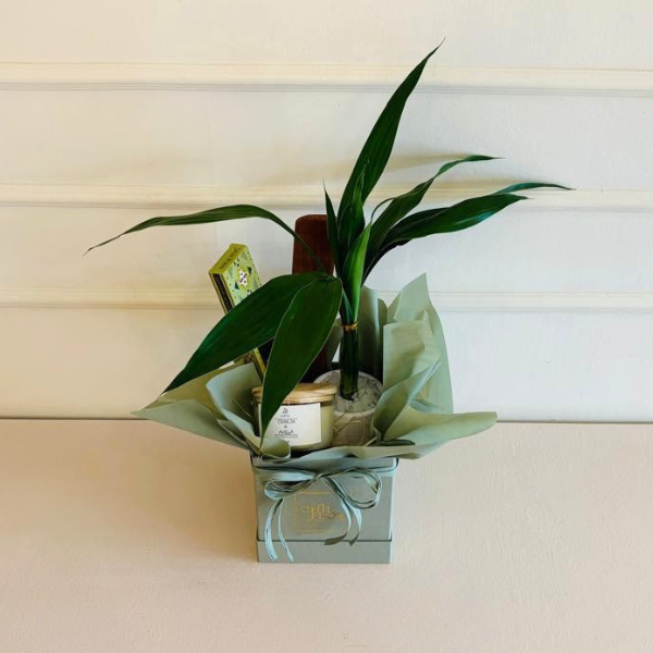Chil Box Quadrada P Incenso Lucky Bamboo Vela Aromática - Imagem 3